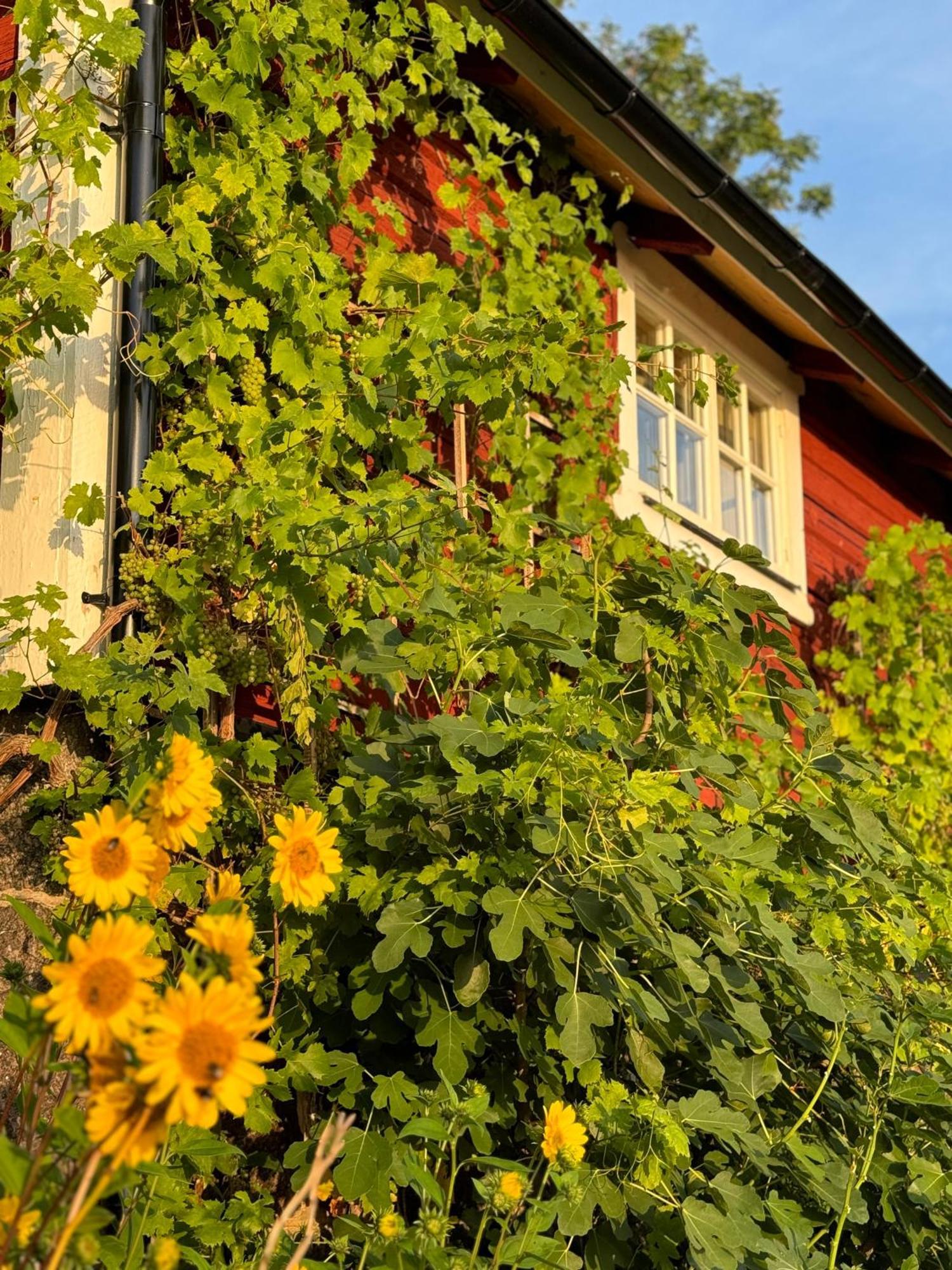 Vila Brunstorpsgard Braenneriet Huskvarna Exteriér fotografie